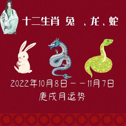 取消生肖属相(取消生肖属相的民间热议📢)