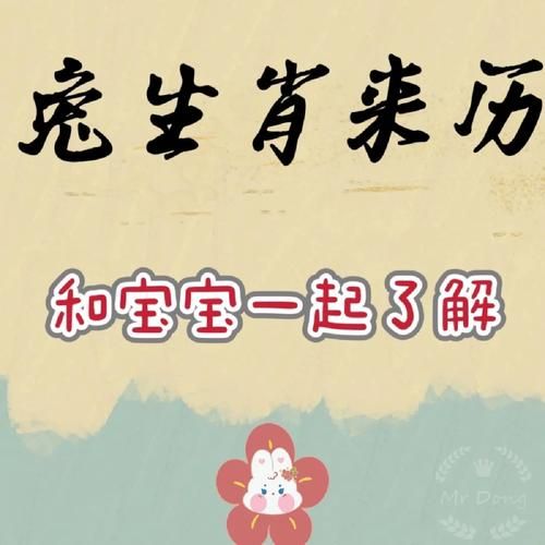 兔年儿童生肖属相(兔年宝宝属什么生肖?新手爸妈必看)