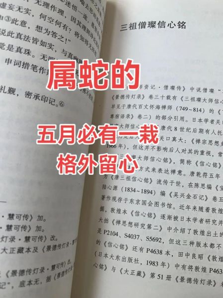 65年年属什么生肖属相（65年属什么生肖？新手一看就懂🐍）