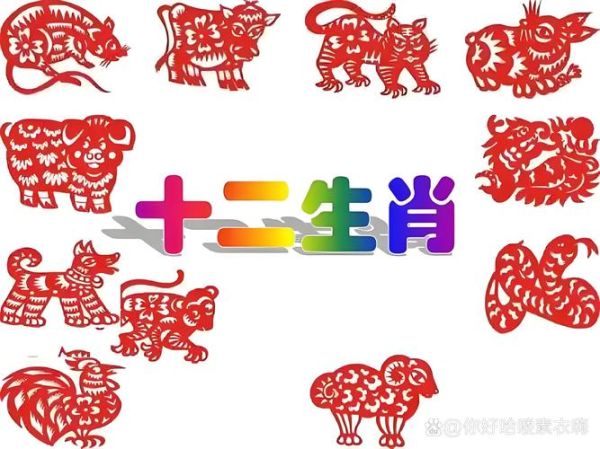 无指什么生肖属相