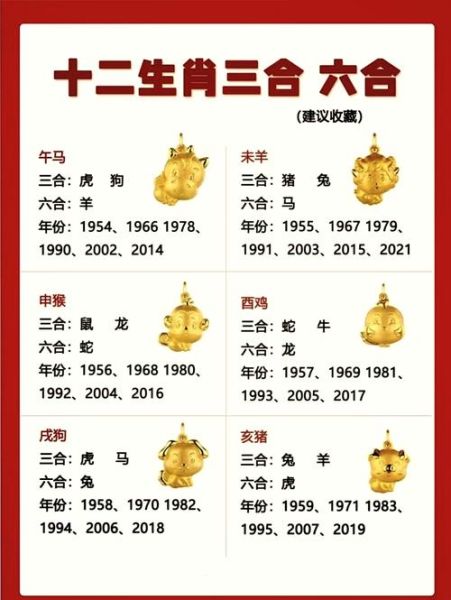 属相和生肖看哪个（属相和看生肖到底看什么🤔）