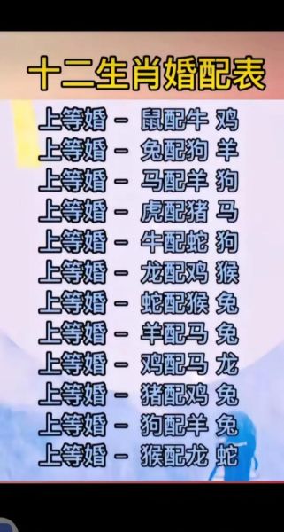 天上生肖多个属相（天上生肖是哪些属相的新手全攻略）