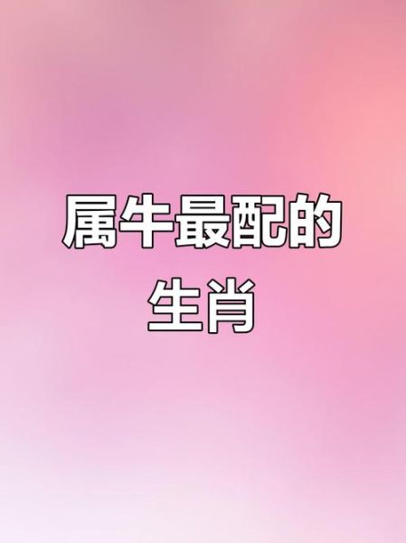 生肖牛配哪个属相（生肖牛配哪个属相最旺？新手速查）