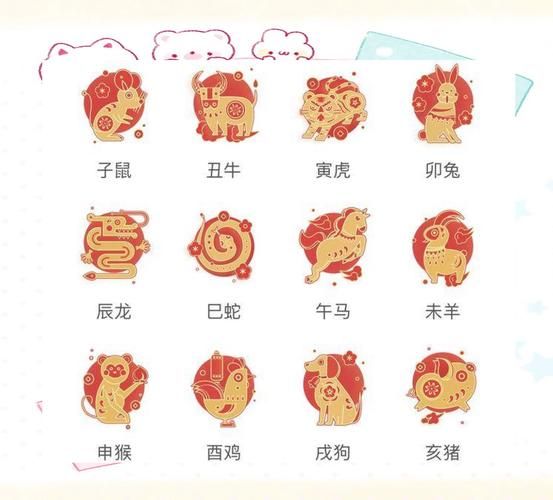 圈a生肖属相（圈a打什么生肖属相最走红🔥）