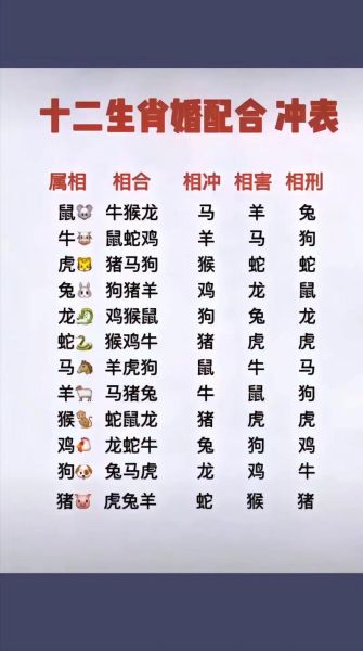 十二生肖情感属相（十二生肖最配哪几种属相？）