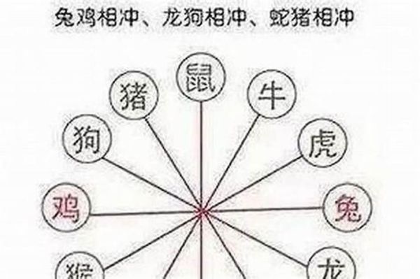 属相鼠怕什么生肖呢（属相鼠最怕什么生肖冲）