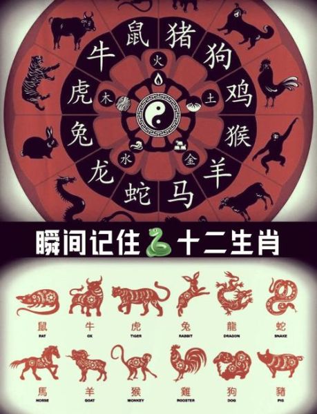 生肖大属相就有什么（十二生肖属相有哪些？小白一眼看懂）
