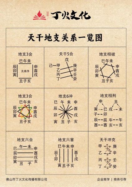 天干对应的生肖属相（天干地支的十二生肖对照表）