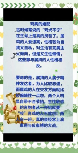 属相狗生肖鸡年运势（狗年出生鸡年运势完整版）