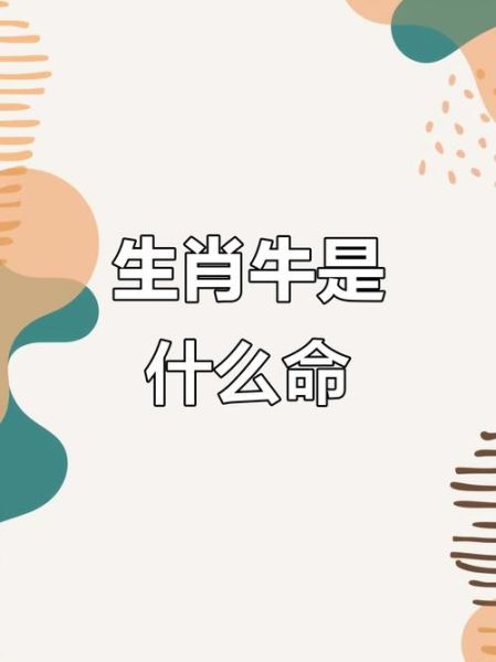 属相最冤的生肖（为什么生肖牛总被说成最冤？）