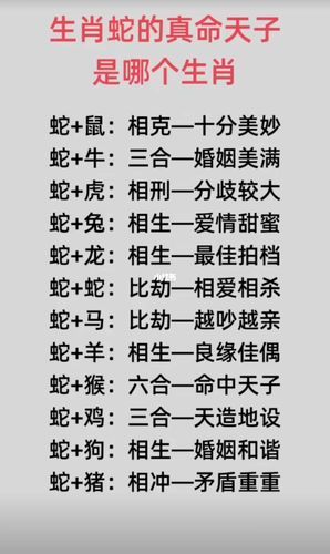 蛇生肖配什么属相好（蛇生肖配什么属相最好）