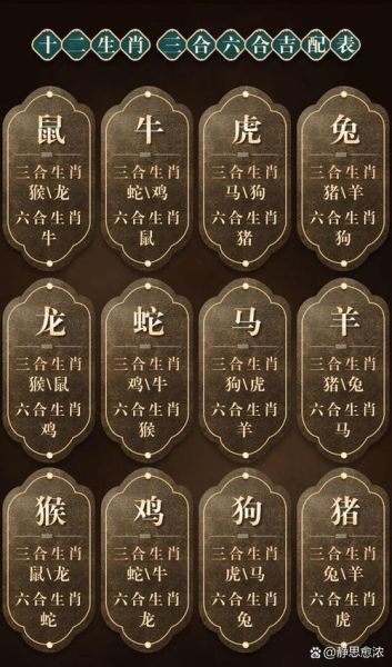 十二生肖和一个属相合吗（生肖羊和生肖马合吗）