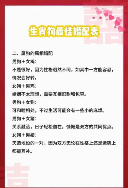 70年生肖狗的婚配属相(70年生肖狗的婚配属相吉凶全解析)