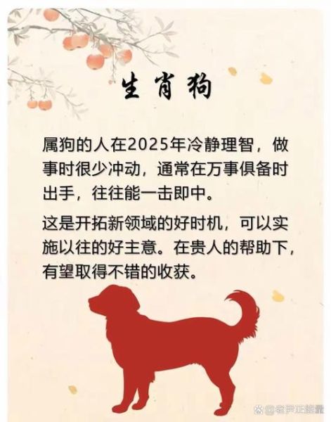 心态好的生肖属相