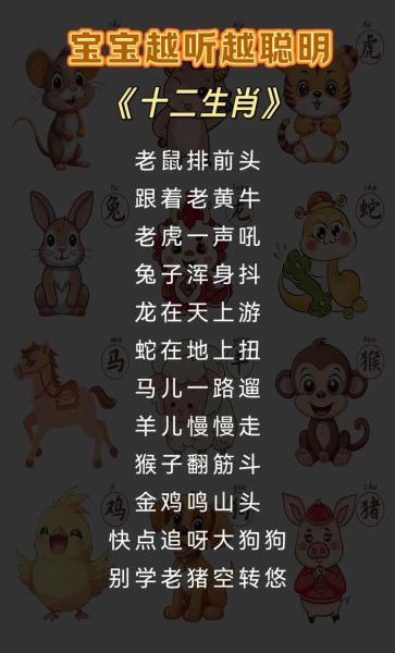 幼儿生肖属相视频讲解（幼儿生肖属相视频讲解大全）