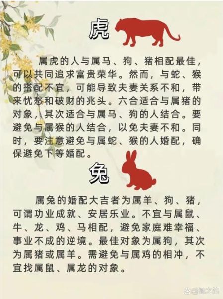 男女生肖属相婚配合适吗（男女生肖属相婚配真的靠谱吗？）