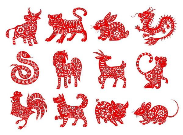 2019年生肖属相(2019年属猪还是属狗?)