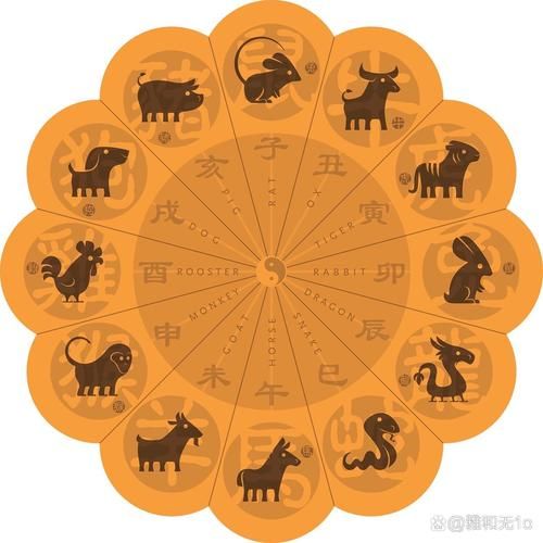 十二生肖属相瑜伽图（十二生肖属相瑜伽图新手入坑指南）
