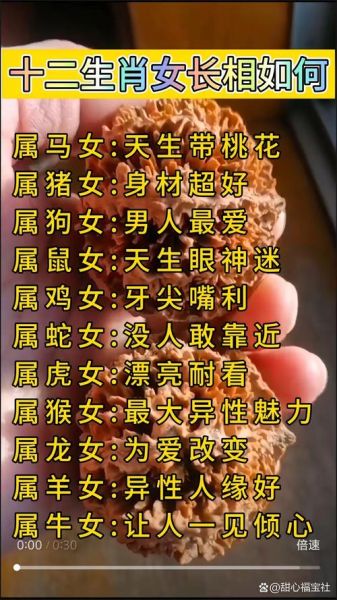 女生有哪些生肖属相(女生生肖属什么的最温柔?)