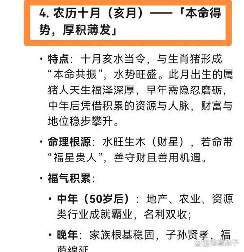 丁亥属什么生肖属相（丁亥属什么生肖属相？新手必看）