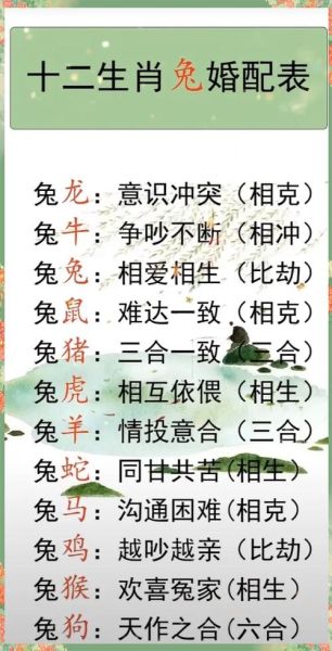 生肖兔 什么属相（生肖兔的最佳婚配属相大全）