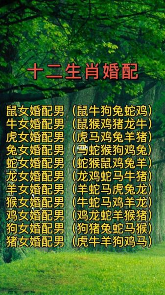 12生肖大忌属相（12生肖大忌属相配对表，速查你的那个Ta 🐭⚡🐯）