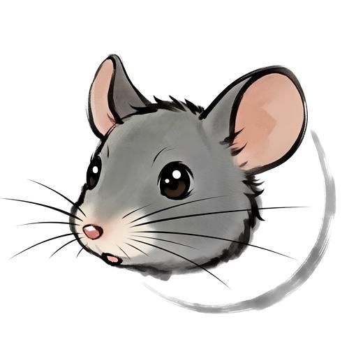 属相生肖长相(最容易被误判的生肖长相特征)