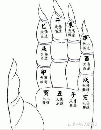 手指推算生肖属相（手指怎么算属相？一看就会的小技巧）