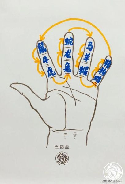 手指推算生肖属相（手指怎么算属相？一看就会的小技巧）