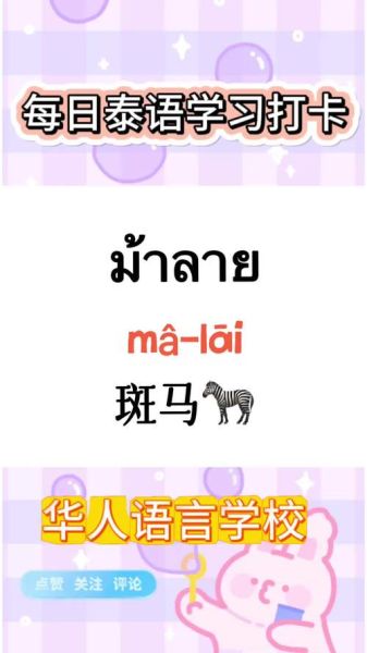 泰语生肖属相(泰语属相怎么说?零基础也能一次学会😆)