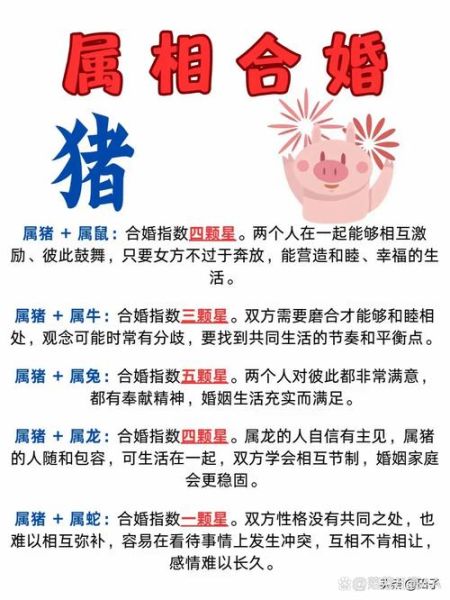 生肖猪与属相搭配(生肖猪与属相婚配最佳伴侣是谁)