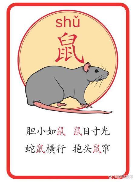 生肖属相意味什么动物（生肖属相到底对应什么动物）