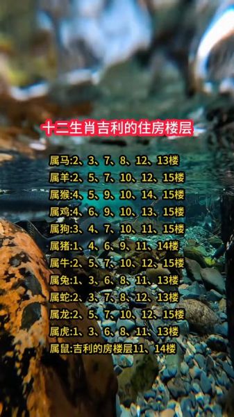 生肖属相所住楼层（属猪住什么楼层最吉利新手一看就会）
