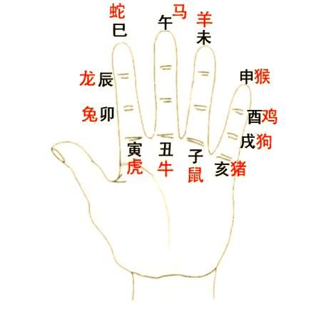 左手算生肖属相（左手算生肖属相对照表超简单）