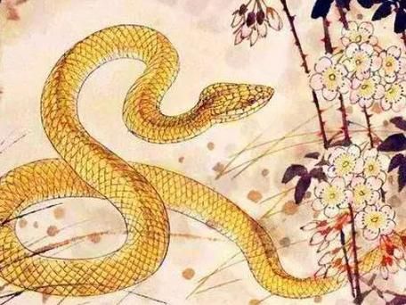 凌云木是什么生肖属相（凌云木指什么生肖？秒懂版来啦🥳）