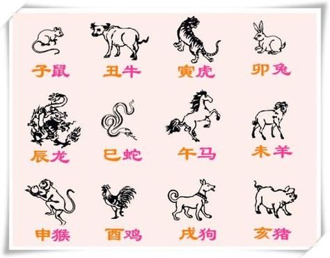 佳属相代表什么生肖(佳属相是什么生肖?新手指南一看就懂)