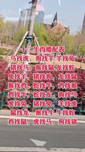 适合晚婚生肖的属相(哪些生肖适合晚婚晚婚属相排行榜)