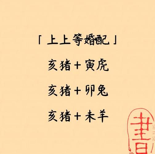 最旺生肖猪的属相女（属猪女生最旺的生肖伴侣是谁）