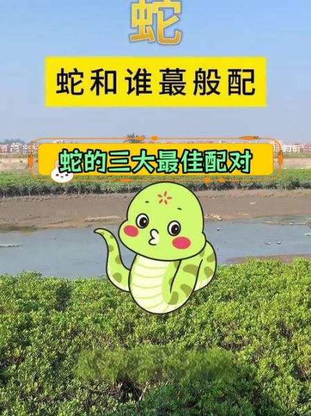 属相蛇跟什么生肖最配（生肖蛇和什么生肖最配婚配指数95）
