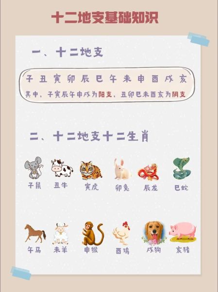 十二生肖中奖什么属相(十二生肖中奖几率最高的属相是什么)