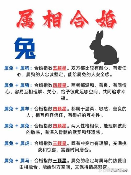 生肖兔婚配大全属相（生肖兔最佳配偶属相排行榜）