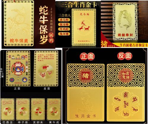 吉祥生肖属相卡片图解（吉祥生肖属相卡片图解大全）