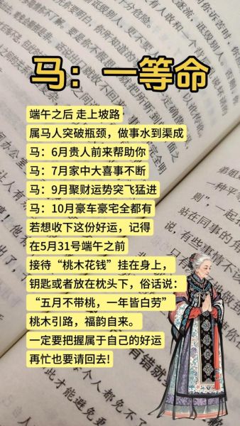 66年生属什么生肖属相（66年生人是什么生肖属马详解🐎）