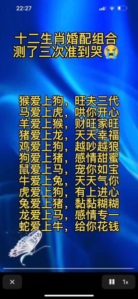 属相猪找什么生肖（属猪最佳婚配属相：三大旺家组合）