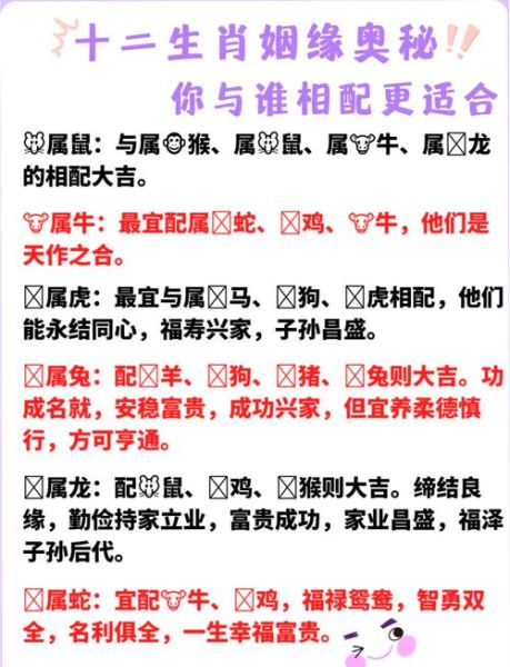 属相与生肖相合（十二生肖最佳配对指南）