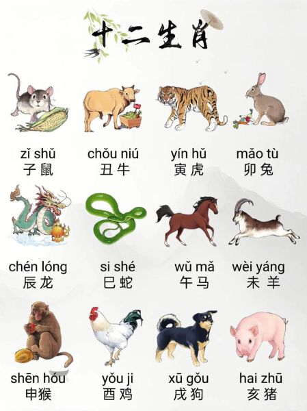 懂礼貌的生肖属相（懂礼貌的生肖属相排行榜）