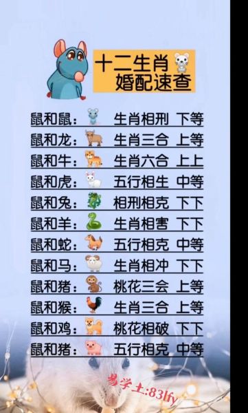 男友兔子生肖属相相冲（属兔和属鼠相冲吗）