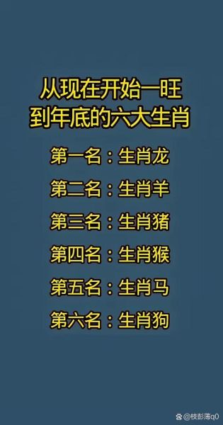 什么属相有勇有谋的生肖（什么属相有勇有谋？新手必看生肖解析）