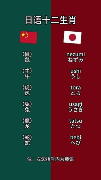 日语十二生肖属相（日语十二生肖怎么说，新手一看就会）