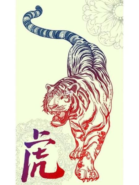 将门虎什么生肖属相（将门虎是什么生肖）